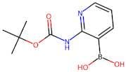 2-(tert-Butoxycarbonylamino)pyridine-3-boronic acid