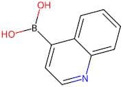 Quinoline-4-boronic acid