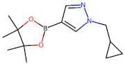 1-Cyclopropylmethyl-1H-pyrazole-4-boronic acid, pinacol ester