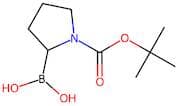 2-Borono-1-pyrrolidinecarboxylic acid 1-(1,1-dimethylethyl) ester