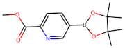 Methyl 5-(4,4,5,5-tetramethyl-1,3,2-dioxaborolan-2-yl)picolinate