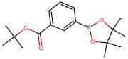 3-tert-Butoxycarbonylphenylboronic acid, pinacol ester