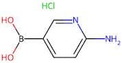 6-Aminopyridine-3-boronic acid hydrochloride