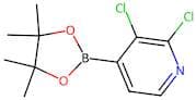 2,3-Dichloropyridine-4-boronic acid, pinacol ester