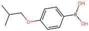 4-Isobutoxyphenylboronic acid