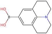 4-Julolidine boronic acid