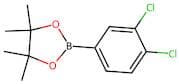 3,4-Dichlorophenylboronic acid, pinacol ester