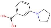 3-Pyrrolidinophenylboronic acid