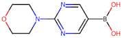 2-Morpholinopyrimidin-5-ylboronic acid