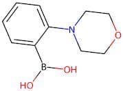 2-(Morpholino)phenylboronic acid