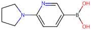 6-(Pyrrolidin-1-yl)pyridine-3-boronic acid