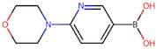 6-(4-Morpholinyl)-3-pyridinylboronic acid