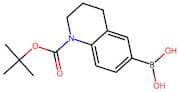 1-BOC-1,2,3,4-Tetrahydroquinoline-6-boronic acid