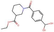 4-(3-(Ethoxycarbonyl)piperidine-1-carbonyl)phenylboronic acid