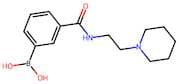 3-(2-(Piperidin-1-yl)ethylcarbamoyl)phenylboronic acid