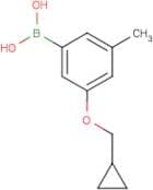 3-(Cyclopropylmethoxy)-5-methylphenylboronic acid