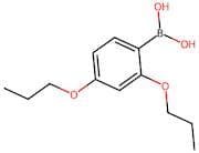 2,4-Dipropoxyphenylboronic acid