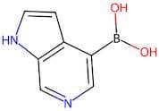 6-Azaindole-4-boronic acid