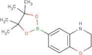3,4-Dihydro-2H-1,4-benzoxazine-6-boronic acid pinacol ester