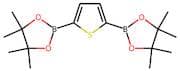 2,5-Bis-thiopheneboronic acid, pinacol ester