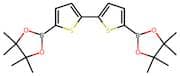 2,2'-Bithiophene-5,5'-diboronic acid, pinacol ester
