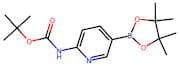 2-(BOC-Amino)pyridine-5-boronic acid, pinacol ester