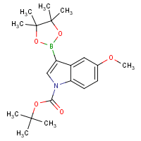 1-Boc-5-Methoxyindole-3-boronic acid, pinacol ester