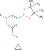3-Bromo-5-(cyclopropylmethoxy)phenylboronic acid, pinacol ester