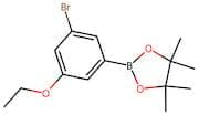 3-Bromo-5-ethoxyphenylboronic acid, pinacol ester