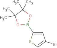 4-Bromothiophene-2-boronic acid, pinacol ester