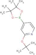 2-tert-Butoxypyridine-4-boronic acid, pinacol ester