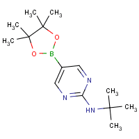 2-tert-Butylaminopyrimidine-5-boronic acid, pinacol ester