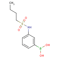 3-(Butylsulfonamido)phenylboronic acid