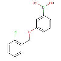 3-(2'-Chlorobenzyloxy)phenylboronic acid