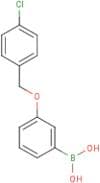 3-(4'-Chlorobenzyloxy)phenylboronic acid