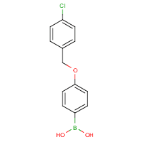 4-(4'-Chlorobenzyloxy)phenylboronic acid