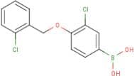 3-Chloro-4-(2'-chlorobenzyloxy)phenylboronic acid