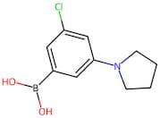 3-Chloro-5-(pyrrolidin-1-yl)phenylboronic acid