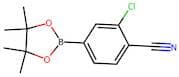 2-Chloro-4-(4,4,5,5-tetramethyl-1,3,2-dioxaborolan-2-yl)benzonitrile