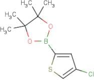4-Chlorothiophen-2-boronic acid, pinacol ester