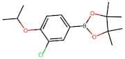 3-Choloro-4-isoproxyphenylboronic acid, pinacol ester