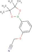 3-Cyanomethoxyphenylboronic acid, pinacol ester