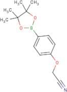 4-Cyanomethoxyphenylboronic acid, pinacol ester