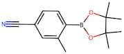 4-Cyano-2-methylphenylboronic acid, pinacol ester