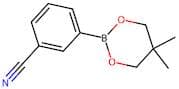 (3-Cyanophenyl)boronic acid,neopentyl glycol ester