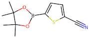 5-Cyanothiophene-2-boronic acid, pinacol ester