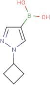 (1-Cyclobutylpyrazol-4-yl)boronic acid