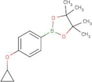2-(4-Cyclopropoxyphenyl)-4,4,5,5-tetramethyl-1,3,2-dioxaborolane