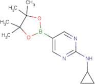 2-Cyclopropylaminopyrimidine-5-boronic acid, pinacol ester