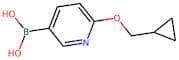 2-(Cyclopropylmethoxy)pyridine-5-boronic acid
